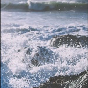 Meet your Posher, August